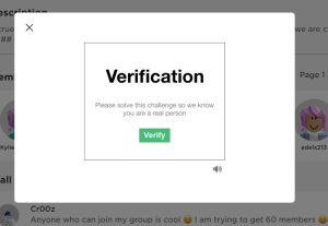 verification challenge