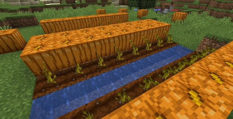 Pumpkins in Minecraft