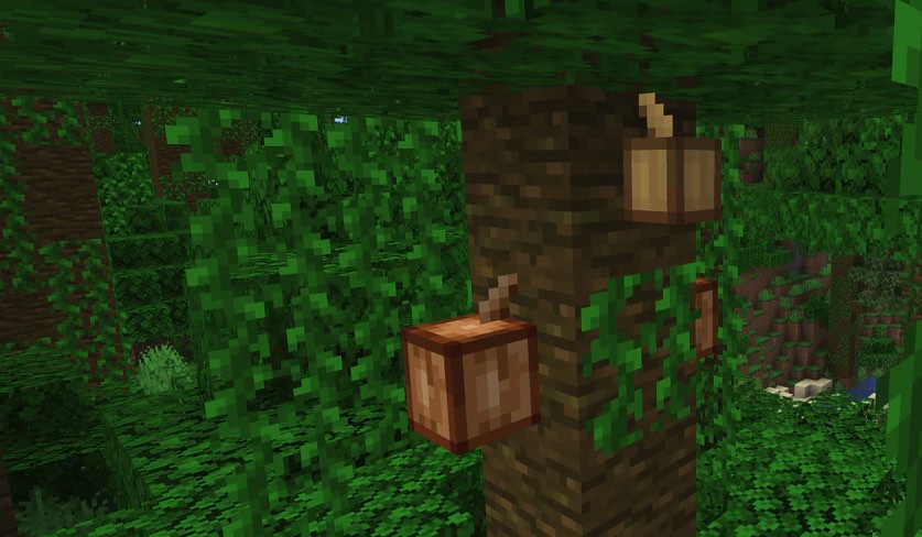 Cocoa beans in Minecraft