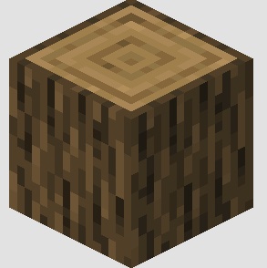 log in Minecraft