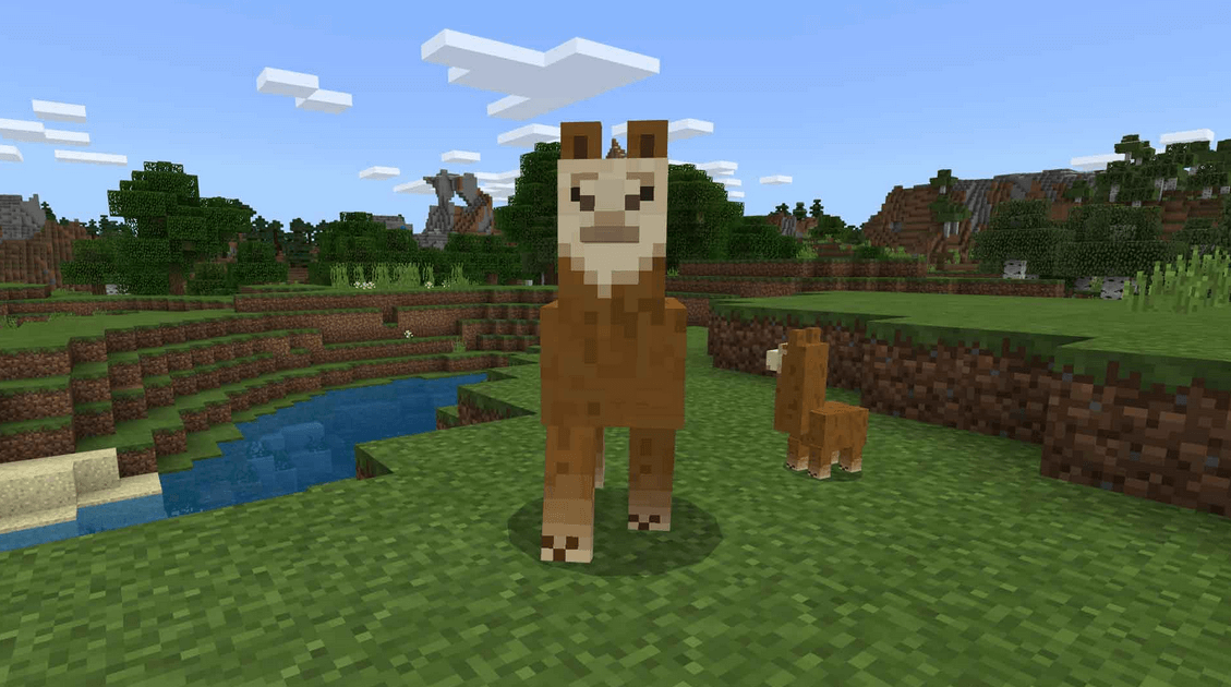 Adult and baby Llama in Minecraft