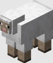 Minecraft Sheep